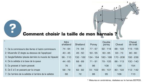 taille pénis cheval|Étalon (cheval) — Wikipédia.